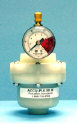 ap1f-pp